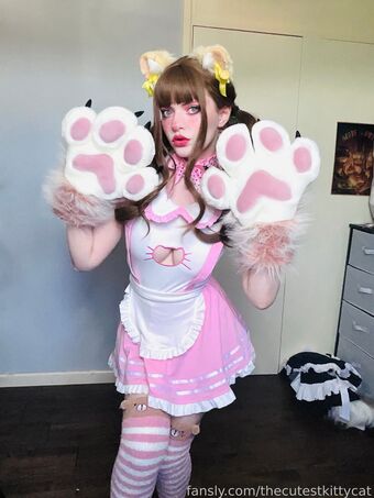 thecutestkittycat
