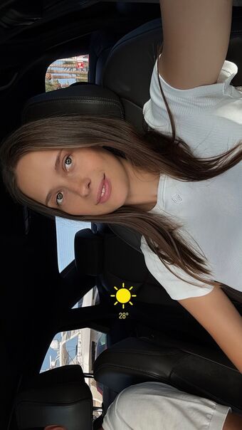 voronina_model