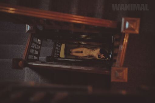 Wanimal Models Nagie Wycieki OnlyFans Zdjęcie 369