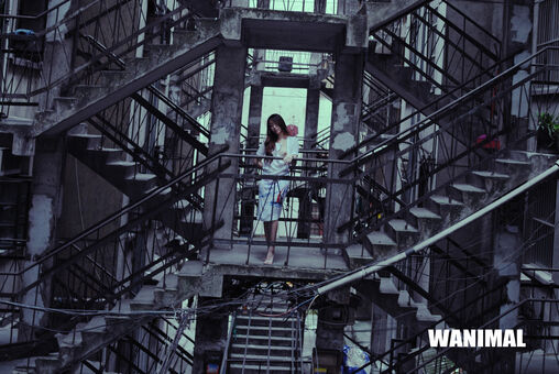 Wanimal Models Nagie Wycieki OnlyFans Zdjęcie 377