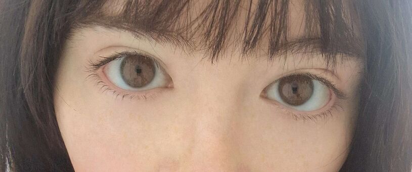 Wheybunny