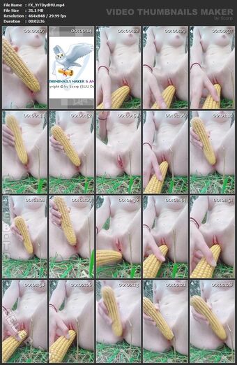 Whitebunny Nagie Wycieki OnlyFans Zdjęcie 29