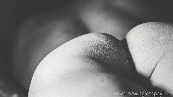 winglesspayload Nagie Wycieki OnlyFans Zdjęcie 6