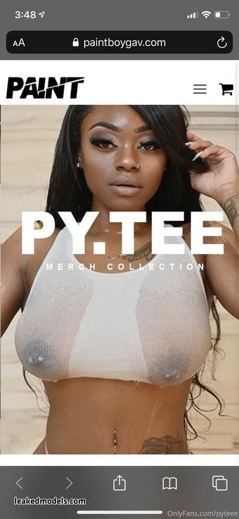 pyteee